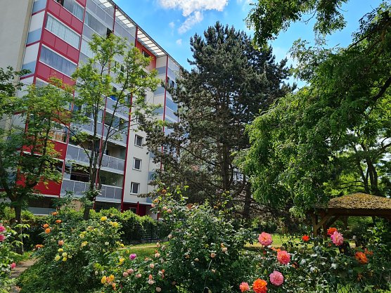 Blick auf den Wohnblock Zuckerweg 3/3a: Mit 189 Wohnungen ist er der gr&ouml;&szlig;te Wohnblock der SWG in Nordhausen. (Foto: SWG/Susanne Schedwill)