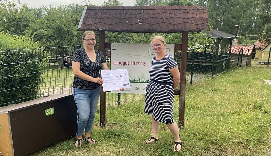 Katja Mitteldorf &uuml;bergibt einen Spendenscheck  (Foto: LINKE NDH)