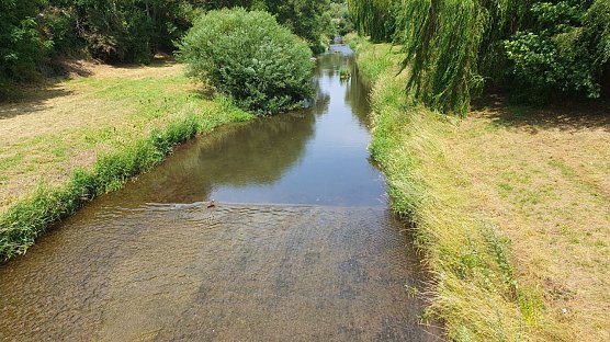 Niedrige Pegel auch im Landkreis Nordhausen (Foto: H. M&uuml;ller)