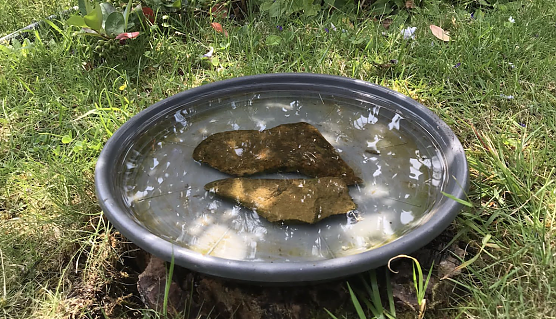 Simpel und hilfreich: eine Vogeltr&auml;nke kann leicht selber aufgestellt werden (Foto: Matthias Piontek)