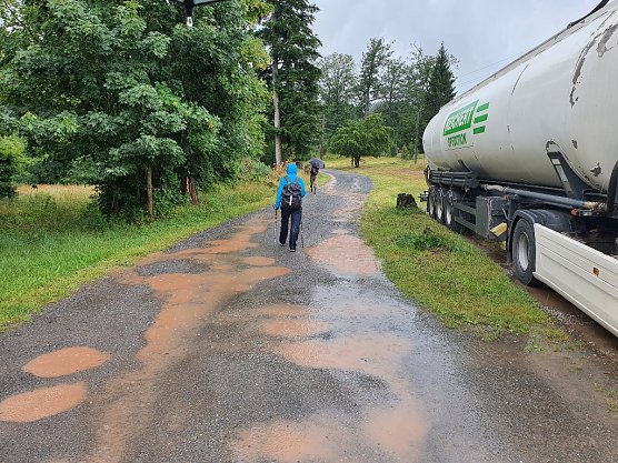 Erfreulicherweise viel, viel Regen gab es unterwegs: Hier am Rande von Rothes&uuml;tte auf dem Weg zum Steinm&uuml;hlental. (Foto: Bodo Schwarzberg)