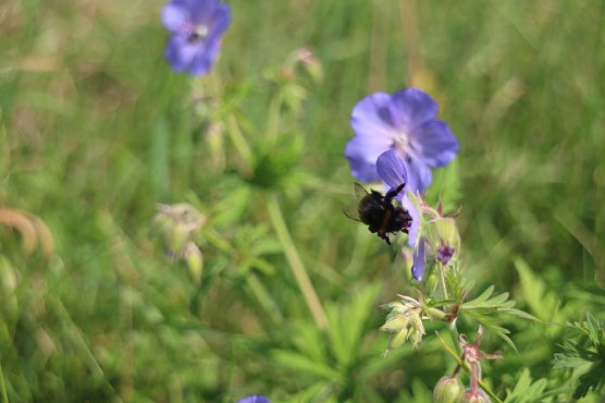 Wetterbild (Foto: agl) Wetterbild (Foto: agl)