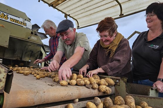 Superintendent Andreas Schwarze sortiert Kartoffeln (Foto: R.Englert)