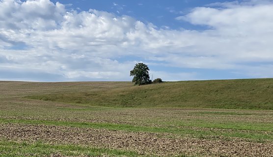 Der Herbst h&auml;lt langsam Einzug in Th&uuml;ringen (Foto: oas)