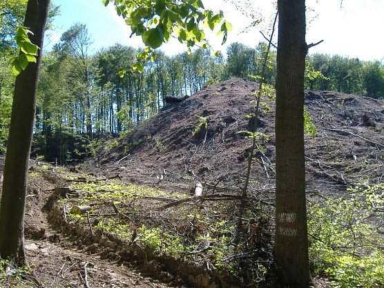 Vollendete Tatsachen (Foto: nnz)