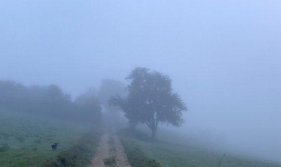 Der Herbst h&auml;lt sichtbar Einzug (Foto: oas)