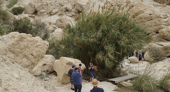In der Oase Ein Gedi (Foto: H.Meinhold)