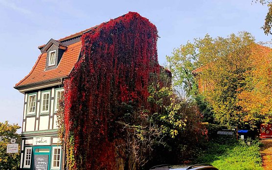 Herbststimmung am Nordh&auml;user Restaurant Felix in der Altstadt (Foto: P.Blei)