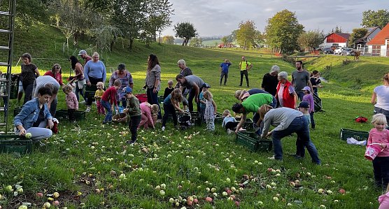 Apfelernte in Großwechsungen (Foto: B.Juch) Apfelernte in Großwechsungen (Foto: B.Juch)
