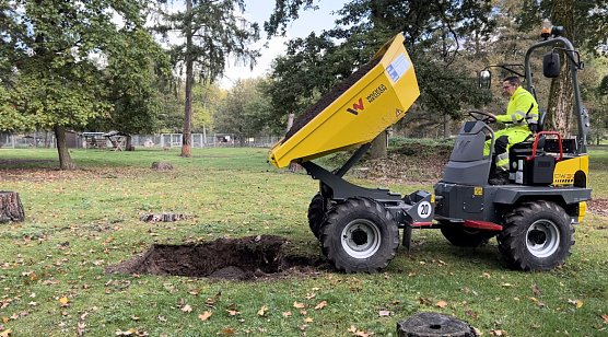 Baumpflanzungen im Stadtpark (Foto: Stadtverwaltung Nordhausen)