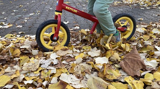Vorsichtig fahren: In Verbindung mit N&auml;sse wird buntes Laub zu einem rutschig-schmierigen  (Foto: ADAC Hessen-Th&uuml;ringen)