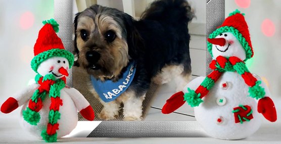 Der kleine Schatz Toni (Foto: Familie Lauterbach aus Sondershausen)