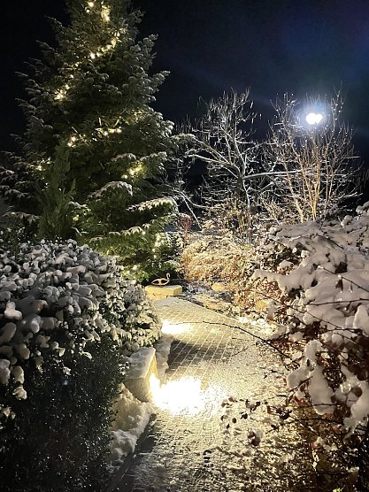 Momentaufnahme "Winterliche Gr&uuml;&szlig;e" (Foto: Familie Isleif)