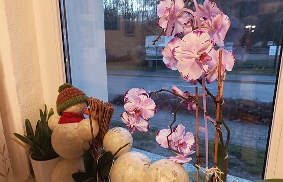 Standhafter Schneemann (Foto: Thomas Leipold) Standhafter Schneemann (Foto: Thomas Leipold)