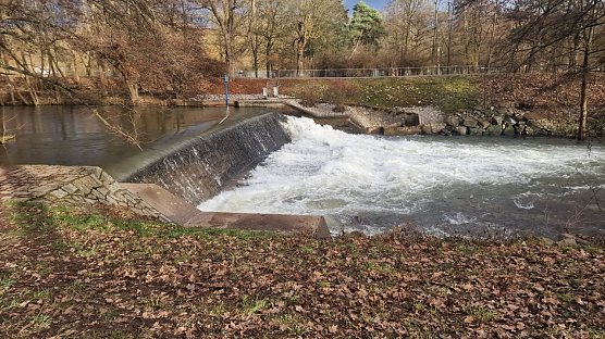 Den Zorgefall beim Stadtpark h&ouml;rten Besucher weithin rauschen. So einen Anblick hatte man schon lange nicht mehr gesehen. Aktuell flie&szlig;en hier rund 18 Kubikmeter je Sekunde durch. Zum Vergleich: am 1. Weihnachtsfeiertag waren es 118 Kubikmeter. (Foto: nnz)