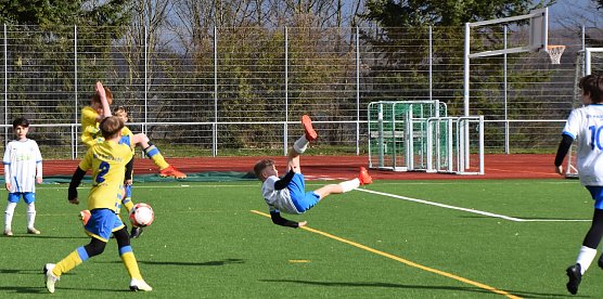 Wackers Nachwuchs siegt in Sondershausen (Foto: Martina Nebelung) Wackers Nachwuchs siegt in Sondershausen (Foto: Martina Nebelung)