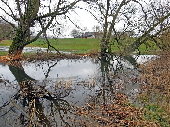 Intakte Auelandschaft (Foto: Marcus Orlamünder) Intakte Auelandschaft (Foto: Marcus Orlamünder)