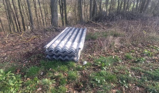 Wellasbestplatten illegal entsorgt (Foto: privat)