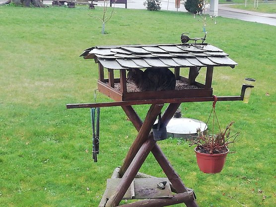 Besuch im Vogelhaus in Sophienhof bei Bei 5 Grad, bew&ouml;lkt und leichtem Wind (Foto: W. J&ouml;rgens)