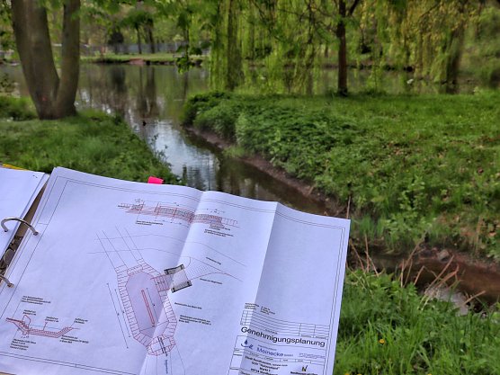 Im Stadtpark soll ein Kneippbecken gebaut werden (Foto: Stadt Nordhausen)