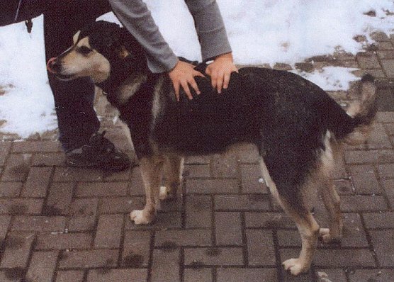 Verschwunden (Foto: jsw) Verschwunden (Foto: jsw)