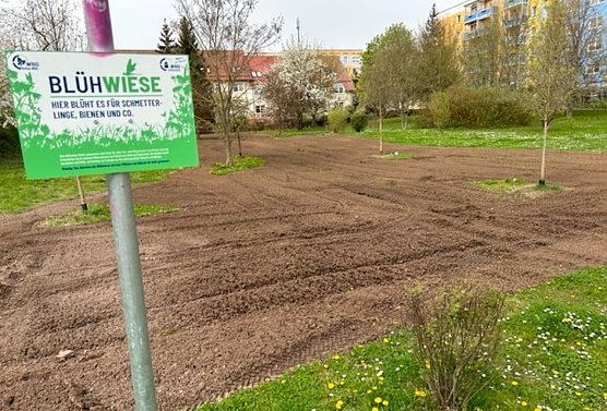 WBS S&uuml;dharz setzt auf Bl&uuml;hstreifen in Nordhausen (Foto: WBG S&uuml;dharz)