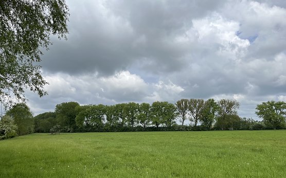 Schönes Wanderwetter zum Vatertag (Foto: oas) Schönes Wanderwetter zum Vatertag (Foto: oas)