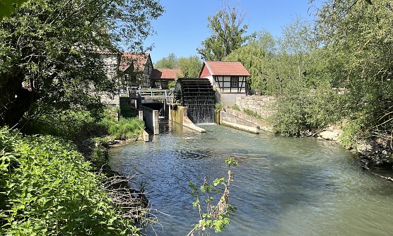 In N&auml;gelstedt an der Unstrut (Foto: oas)