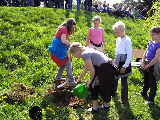 Gepflanzt (Foto: R. Fischer)