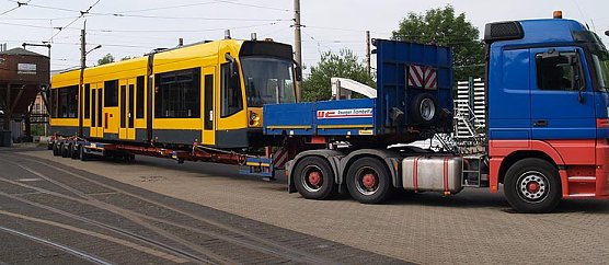 Wieder Zuhause (Foto: nnz)