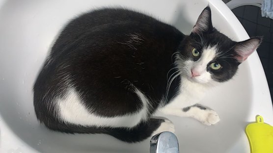 Wo ist Neo? (Foto: privat)