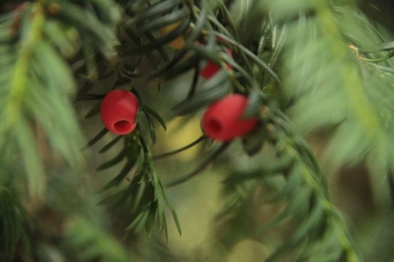 Wetterbild (Foto: agl) Wetterbild (Foto: agl)