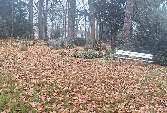 Die Wege auf dem Hauptfriedhof sind momentan gut abgedeckt von dem Laub der Bäume (Foto: P.Blei) Die Wege auf dem Hauptfriedhof sind momentan gut abgedeckt von dem Laub der Bäume (Foto: P.Blei)