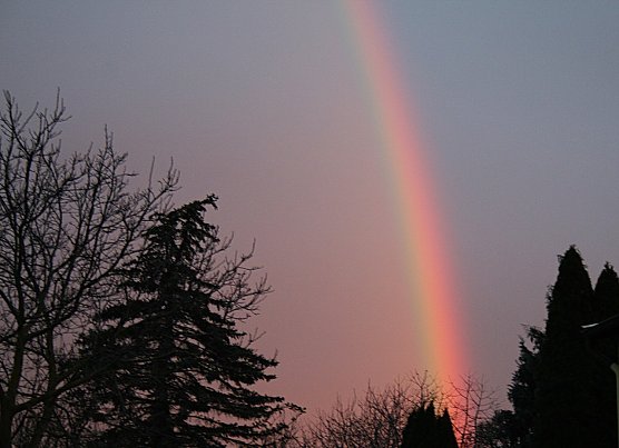 Regenbogen &uuml;ber Kelbra (Foto: Ulrich Reinboth)