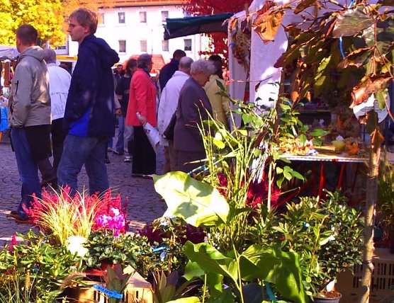 Bl&uuml;hender Markt (Foto: Agentur Heise)