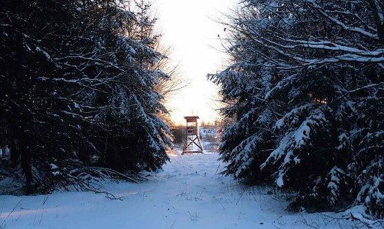 Ausflug in den verschneiten Harz (Foto: P.Blei)