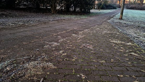 Auf einmal war mit dem Pflaster Schluss (Foto: Anton Adlerauge)