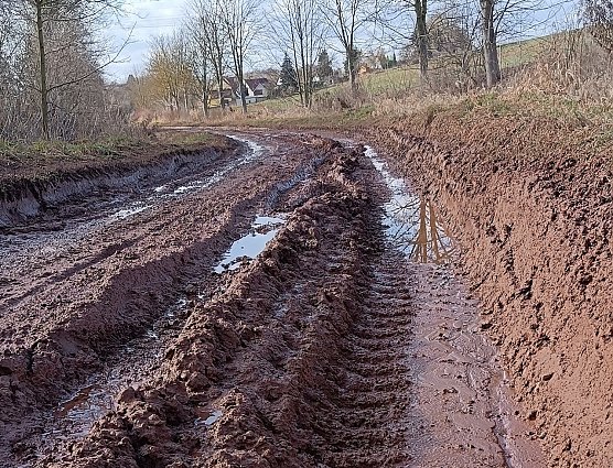 Ehemaliger Wanderweg bei Hesserode (Foto: F.Jödicke) Ehemaliger Wanderweg bei Hesserode (Foto: F.Jödicke)