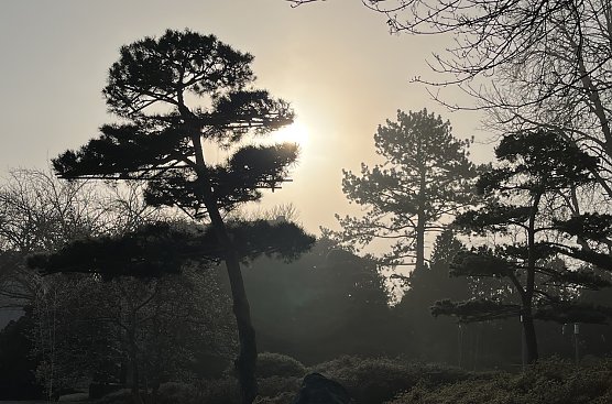 Auch die zweite Märzhälfte wartet mit Nachtfrösten auf (Foto: oas) Auch die zweite Märzhälfte wartet mit Nachtfrösten auf (Foto: oas)