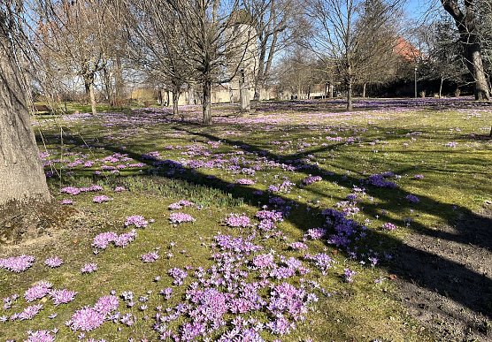 Bei deutlich steigenden Temperaturen bleiben die Nachtfröste erhalten (Foto: oas) Bei deutlich steigenden Temperaturen bleiben die Nachtfröste erhalten (Foto: oas)