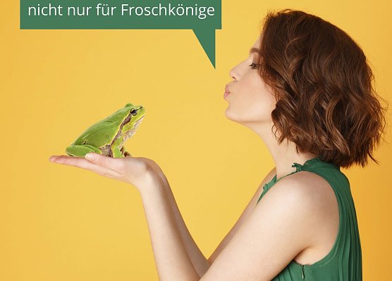 Layout Brunnenfest (Foto: Stadtverwaltung Nordhausen)