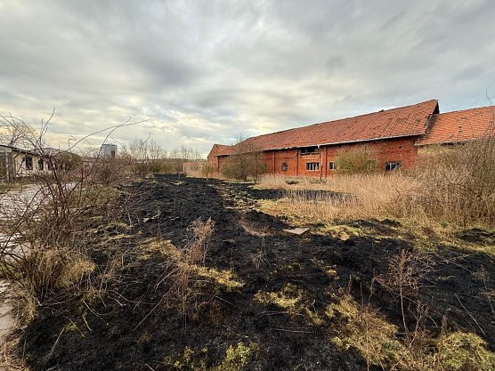Abgebranntes &Ouml;dland bei Himmelgarten (Foto: S. Dietzel)
