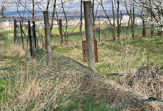 Heruntergerissener Zaun (Foto: Diana Kupfer)