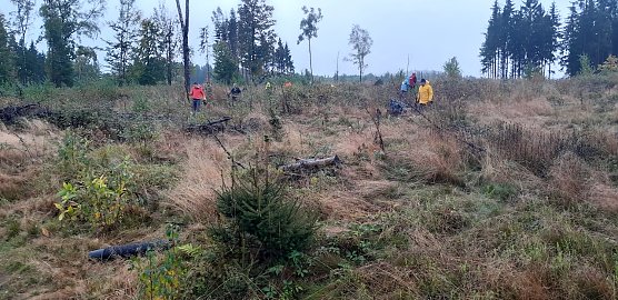 Pfkanzaktion im vergangenen Jahr (Foto: Forstamt Bleicherode)