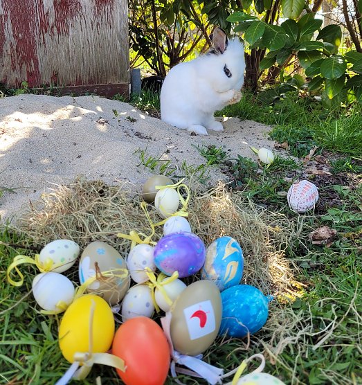 Ostern bei Familie Tritschler in Nohra bei Bleicherode (3.) (Foto: Familie Tritschler)