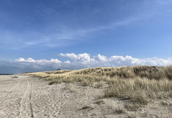 Ostseestrand (Foto: oas)