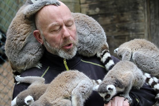 Affenvater im Affentheater: Silvio Dietzel und seine hungrigen Freunde (Foto: Eva Maria Wiegand)