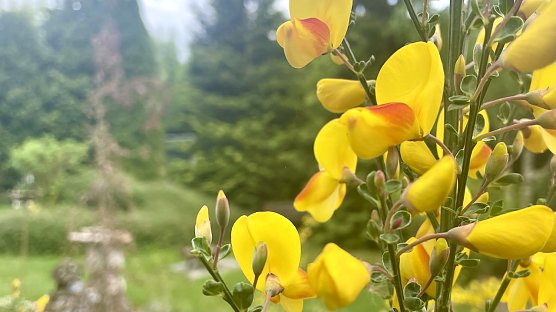 Momentaufnahme in Neustadt (2) (Foto: Volker Weickert) Momentaufnahme in Neustadt (2) (Foto: Volker Weickert)