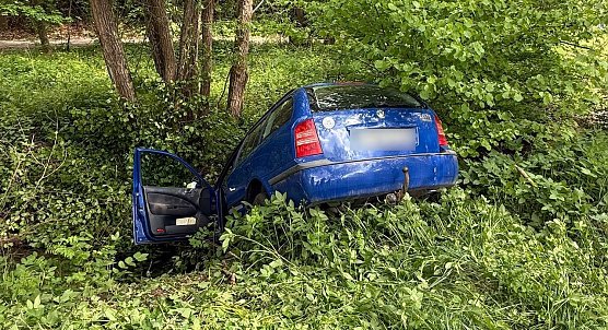 Flussfahrt gestern Nachmittag (Foto: S.Dietzel)