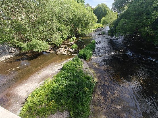 Zustand an der Zorgepromenade (Foto: Peter Blei)